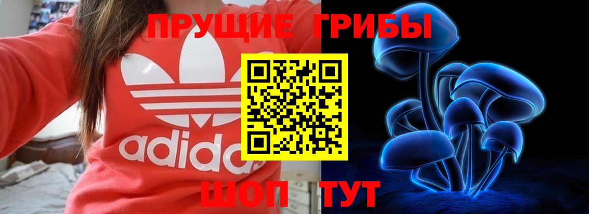Галлюциногенные грибы мухоморы  купить   Выборг  Вход с VPN 
